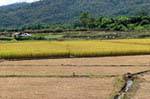 Paisagem rural, Chiang Mai, Tailândia.