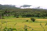 Campo em torno de Chiang Mai, Tailândia.