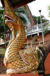 O naga comer crocodilo, Northwest Chiang Mai, Tailândia.