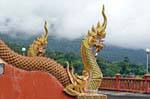 Nagas quimérica, Chiang Mai, Tailândia.