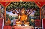 Buddha antes do udumbara, árvore mítica, Wat Phra Singh, Chiang Mai, Tailândia.