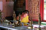 Monge estudioso Wat Phra Singh, Chiang Mai, Tailândia.