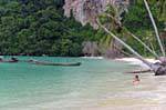 Nadar sob os coqueiros, Koh Phi Phi, Tailândia.