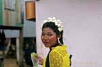 Grinalda da flor do Frangipani, Phuket Town Gypsy, Tailândia.