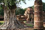 Com um tronco de árvore torturado, Sukhothai, Wat Mahathat, Tailândia.