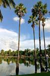 Lagoa e palmeiras, Sukhothai, Wat Trapang Ngoen, Tailândia.
