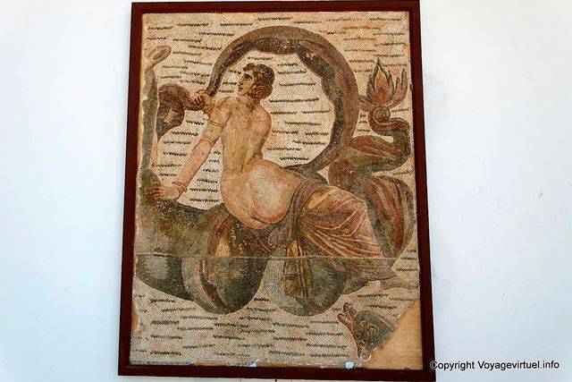 Museu Nacional de Carthage, golfinhos mosaico - Tunísia