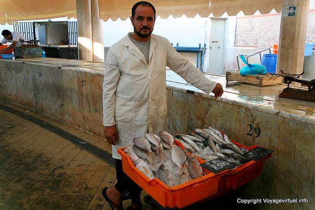 Sfax, peixeiro barbudo - Tunísia