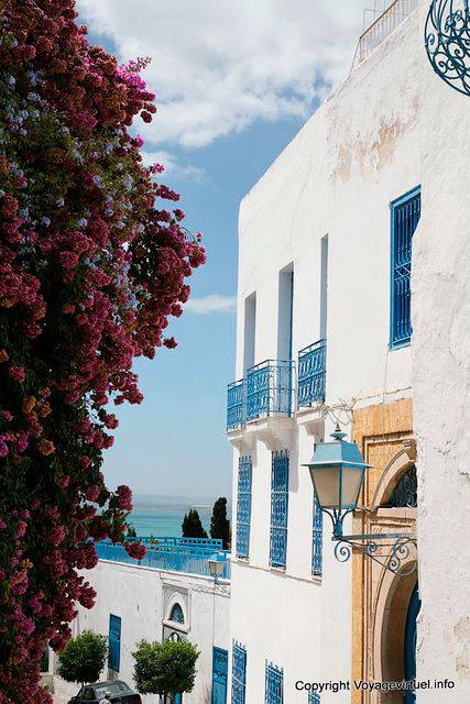 Sidi Bou Said, descida para o mar - Tunísia