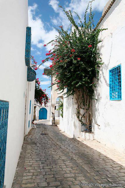 Sidi Bou Said, pequeno pavimento da rua - Tunísia