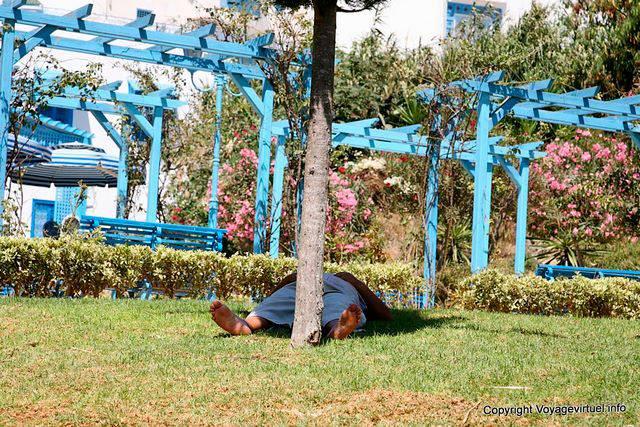 Sidi Bou Said, Nap na grama - Tunísia