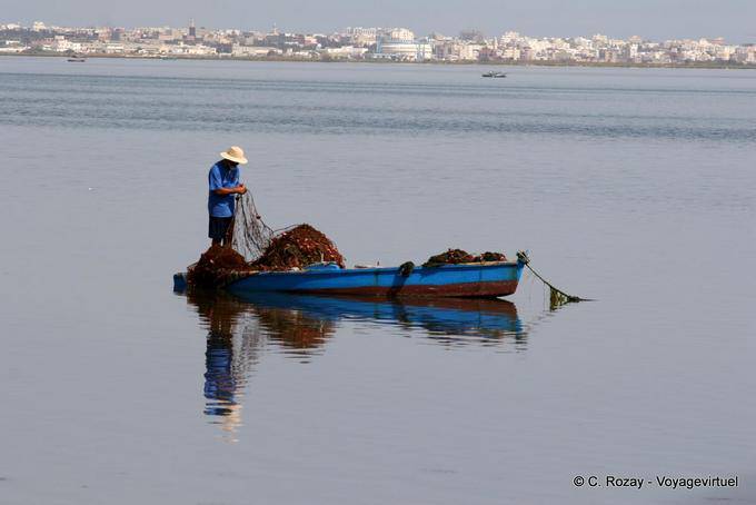 Pesca instantâneas no Mediterrâneo, perto de Monastir - Tunísia