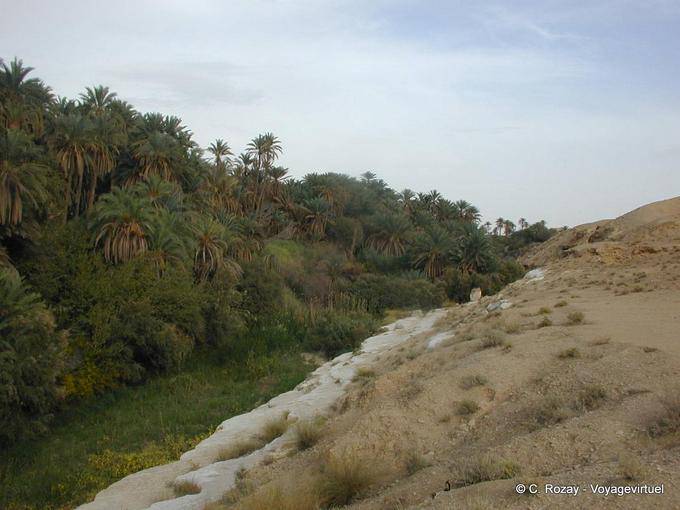 Oasis Tamerza - Tunísia