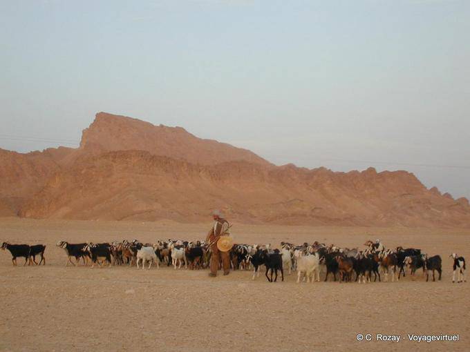 Bando e pastor na porta de Chott el Jerid - Tunísia
