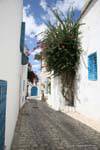 Sidi Bou Said, pequeno pavimento da rua, Tunísia.