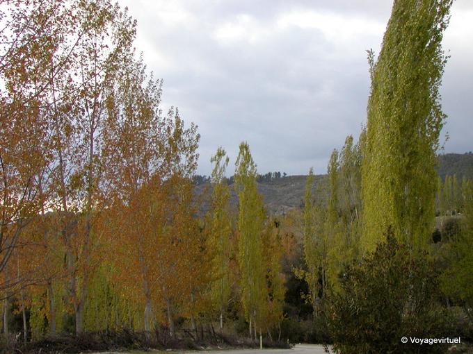 Choupos renascer, Egirdir - Turquia